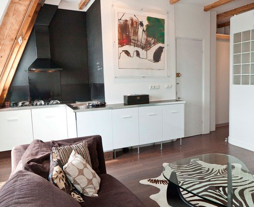 LOFT VONDELPARK AMSTERDAM-3